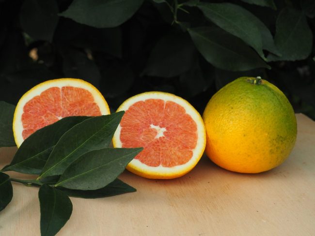 Qu’est-ce que l’Orange Cara Cara ?