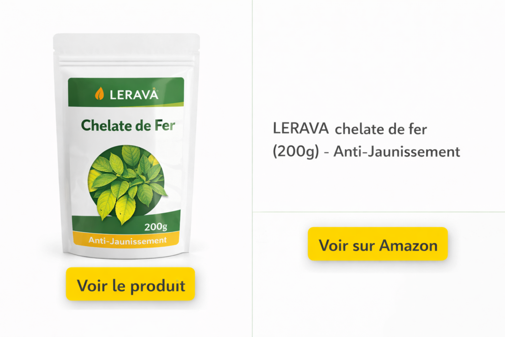 LERAVA chelate de fer (200g) - Anti-Jaunissement