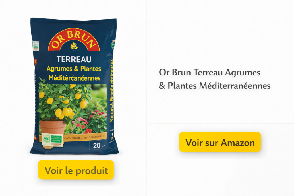 Or Brun Terreau Agrumes & Plantes Méditerranéennes