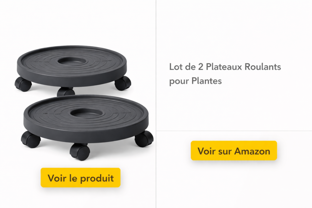 Lot de 2 Plateaux Roulants pour Plantes 