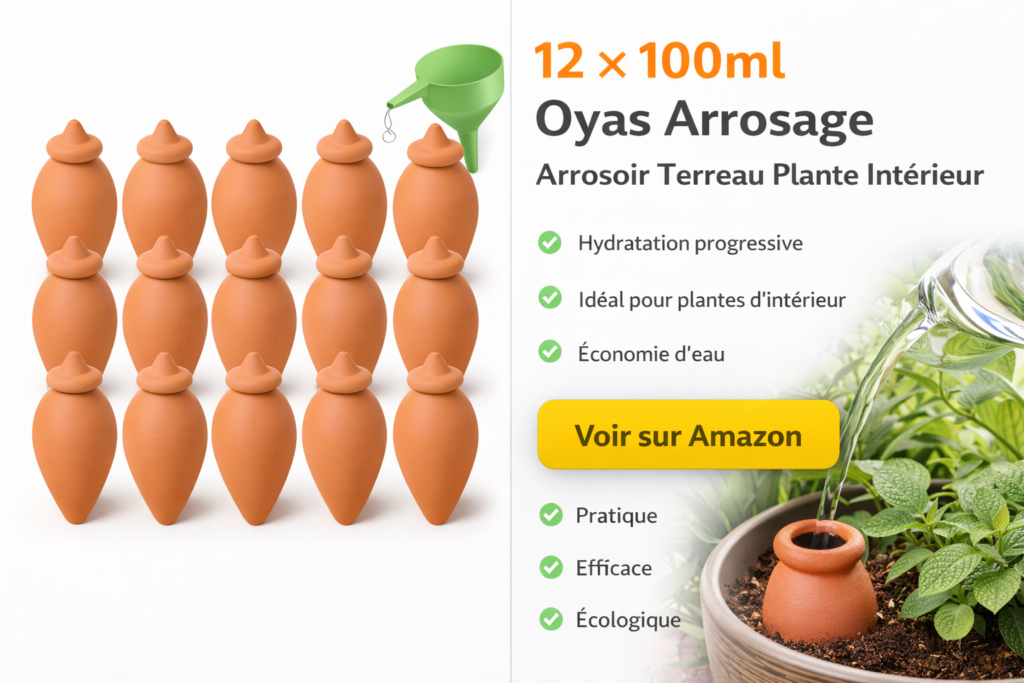 12 × 100ml Oyas Arrosage, Arrosoir Terreau Plante Intérieur,