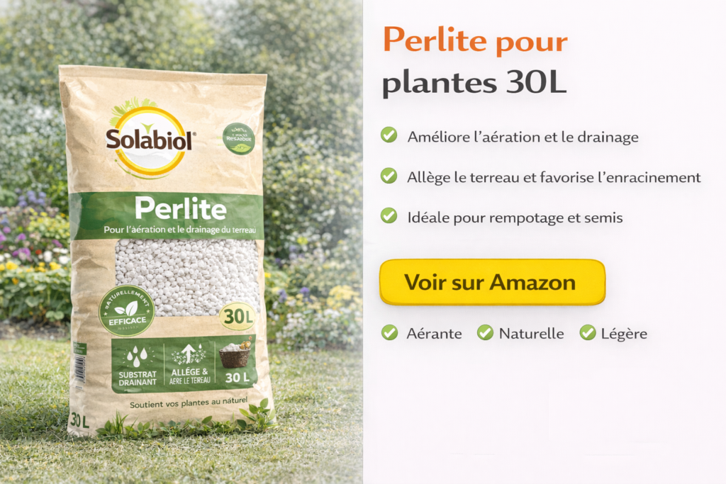 Perlite pour plantes 30 l