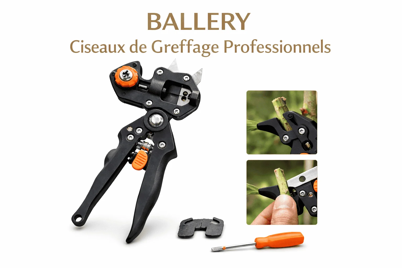 Ballery Ciseaux de Greffage Professionnels