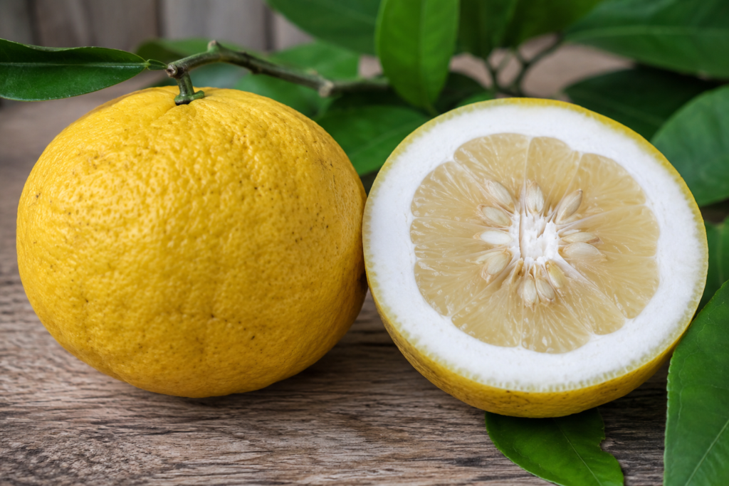 Fruit coupe d Ichang papeda avec pulpe et graines